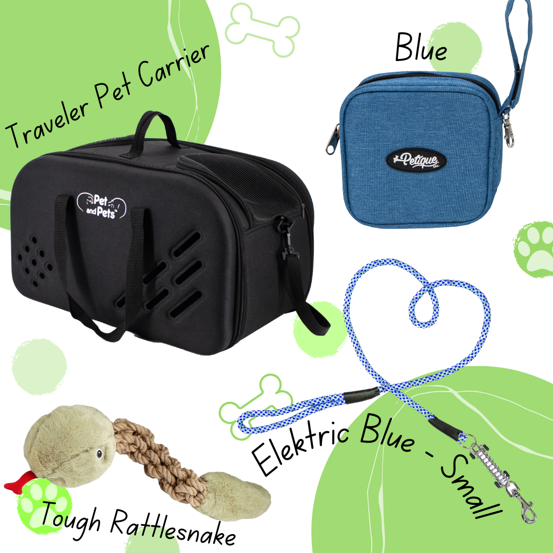 Small pet carriers  Carry your pet in style