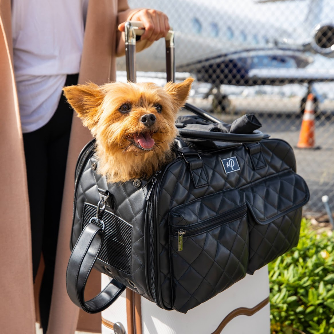My future Louis Vuitton dog carrier.
