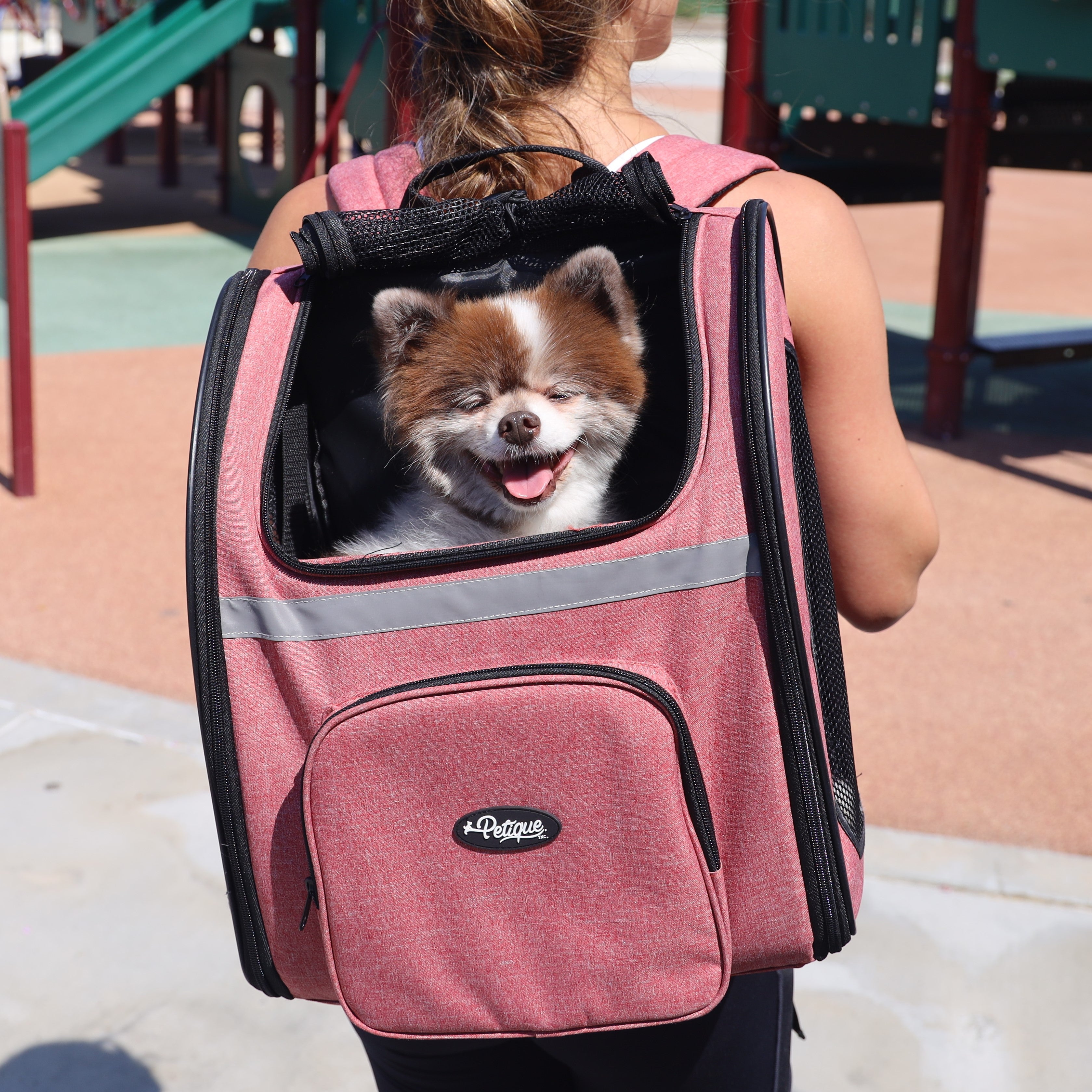 Doggie backpacks 2025 for small dogs