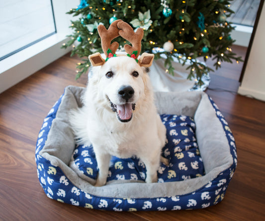 The Ultimate Christmas Gift Guide for Your Dog