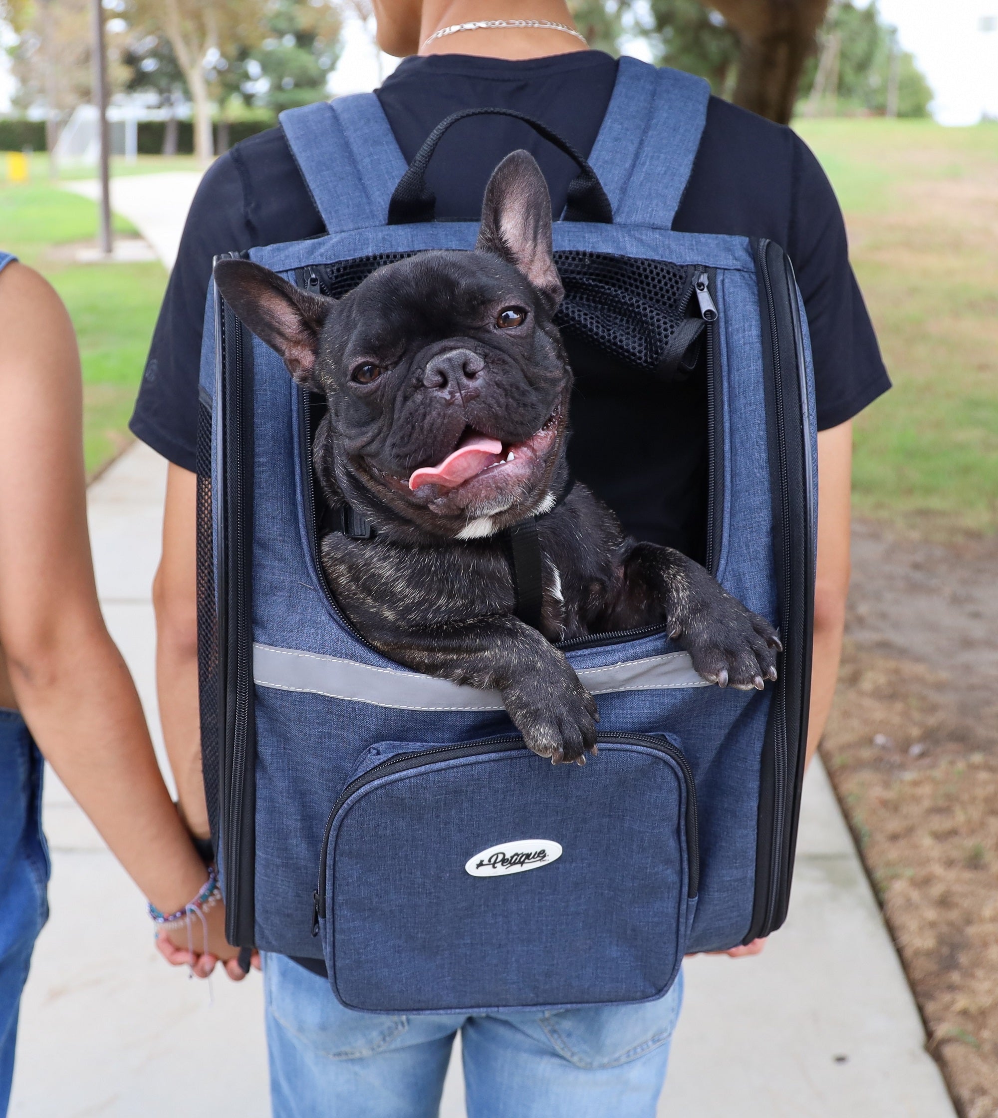 PULLIMORE Pet Carrier Backpack Front Pack Dog Cat Carrier Travel Bag Legs  Out Easy-Fit for Small Medium Pets Outdoor Traveling - Walmart.com