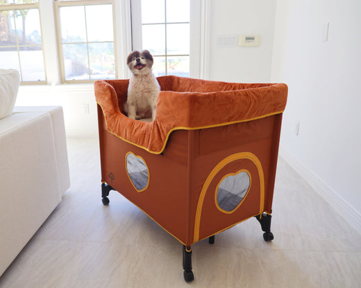 3 Genius Hacks to Transform Your Bedside Lounge into a Pet Haven