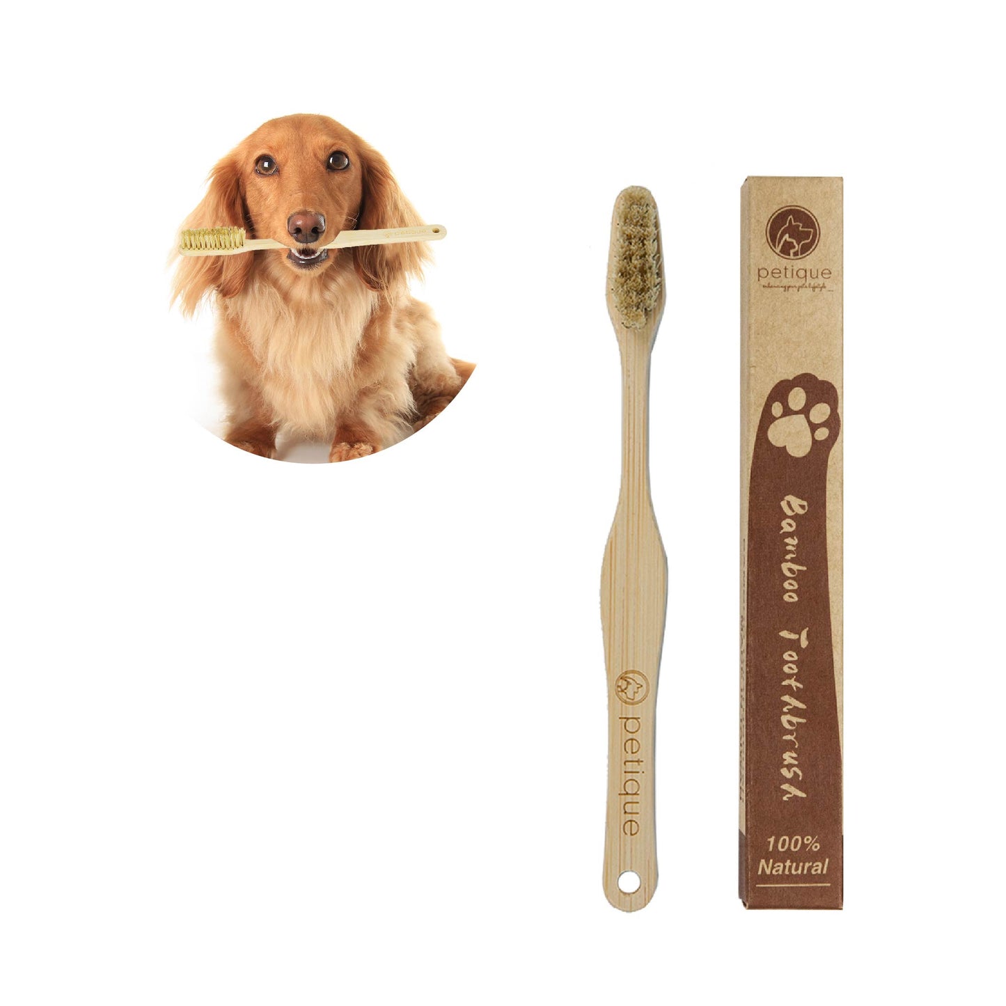 100% Sustainable Bamboo Pet Toothbrush for Dogs/Cats/Pets, Smooth Bamboo Handle, Boar's Hair Bristle, Eco-Friendly, Sustainable, Biodegradable, Non-Toxic, Compostable