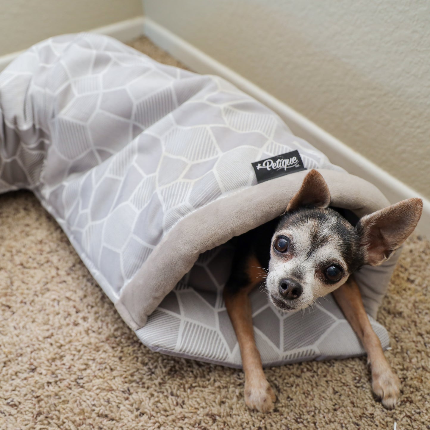 Critter Tunnel Sleep and Play: Comfortable Soft Material, Fun Play Environment, Two Lookout Openings, Keeps Pets Busy, Sense of Security, Durable Scratch-Resistant Fabric, for Small Animals