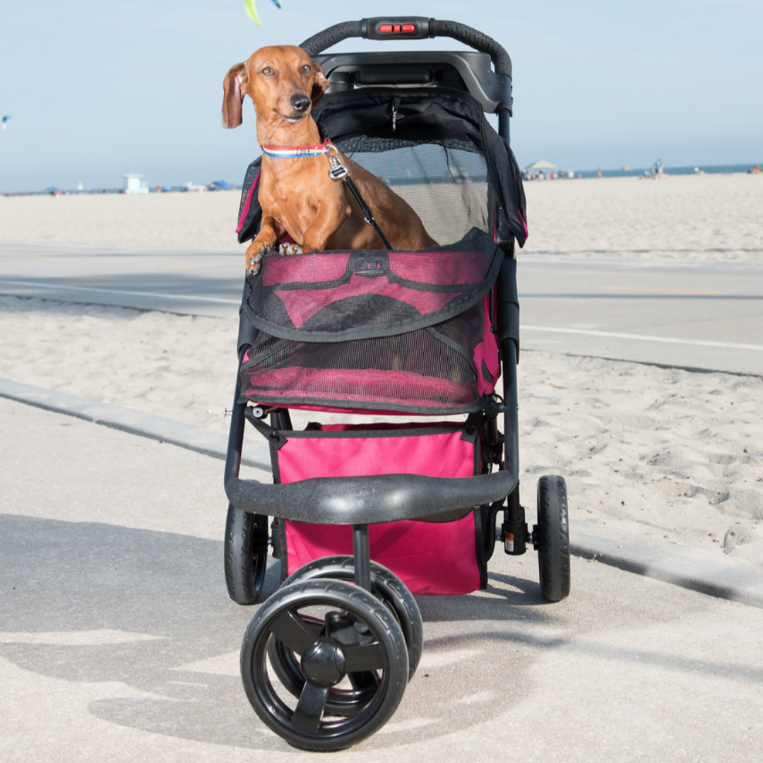 Petique Durable Pet Stroller with Rain/Weather Cover, Large Wheels, Easy Fold, Large Storage Basket, Secure Cup Holder Tray, for Small to Medium Dog, Cat, Bunny, Supports pets up to 55LBS - PINK