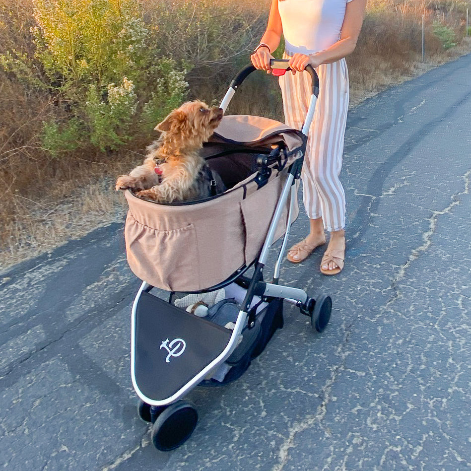 Best stroller for walking with dogs online