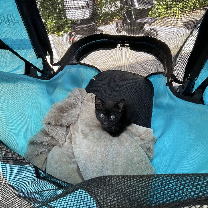 OPEN-BOX | Teal and Black Pet Stroller For Small/Medium Dogs and Cats