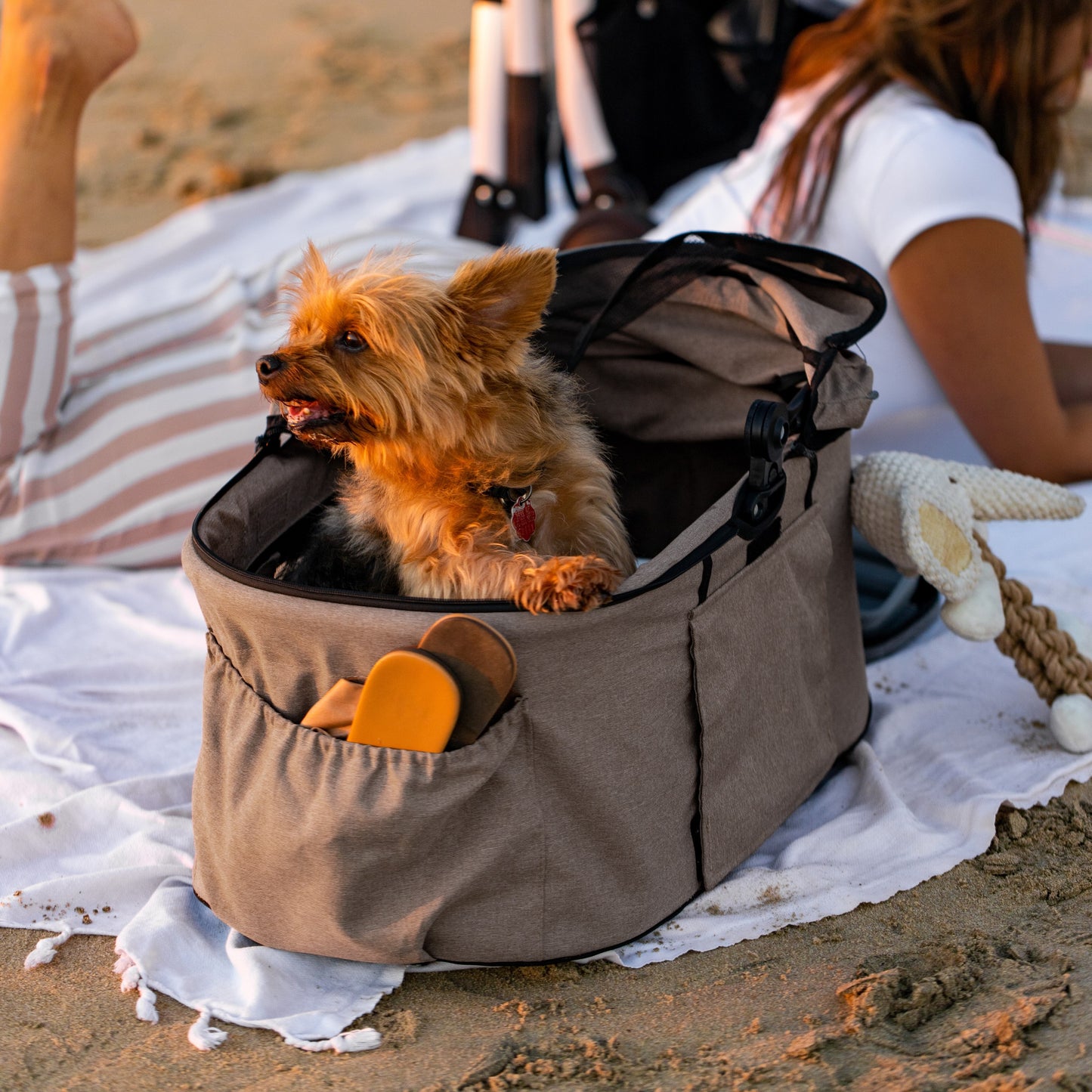 3-in-1 Pet Travel Bundle