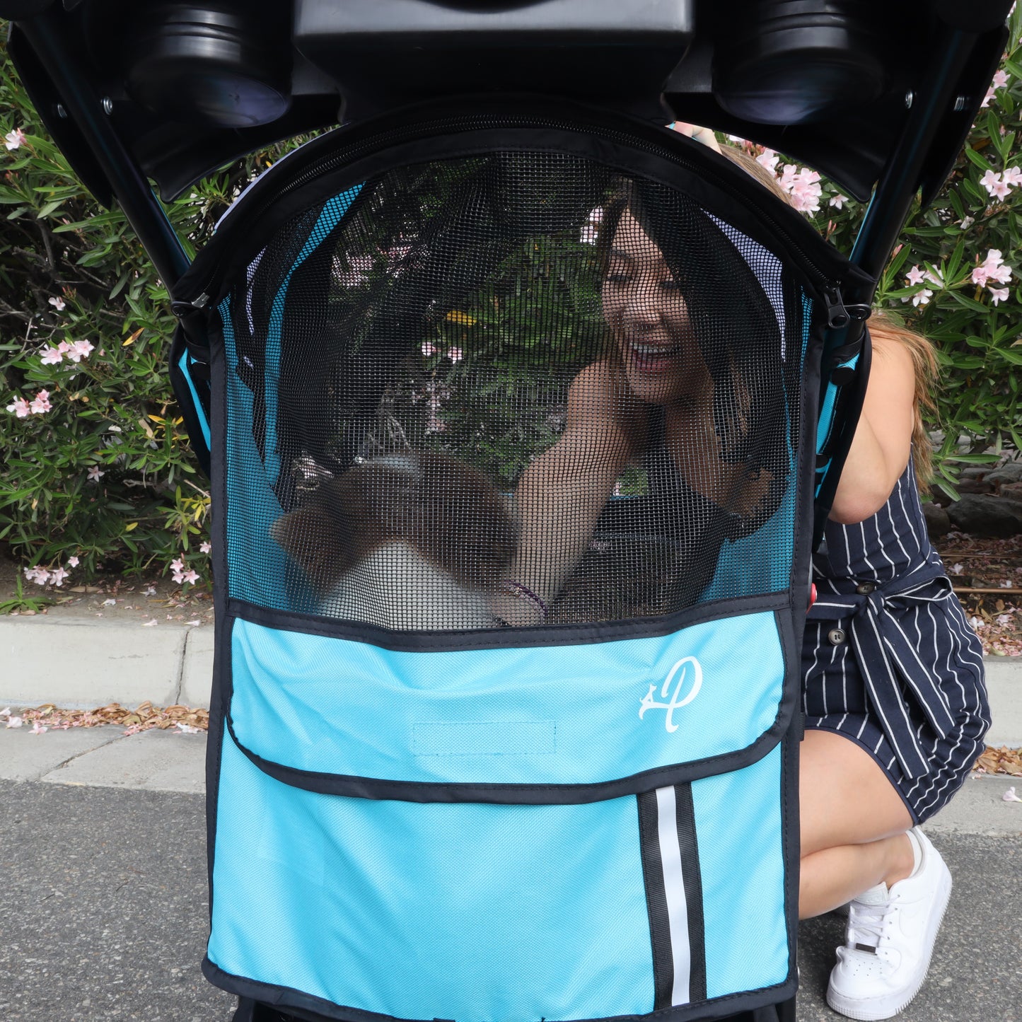 OPEN-BOX | Teal and Black Pet Stroller For Small/Medium Dogs and Cats