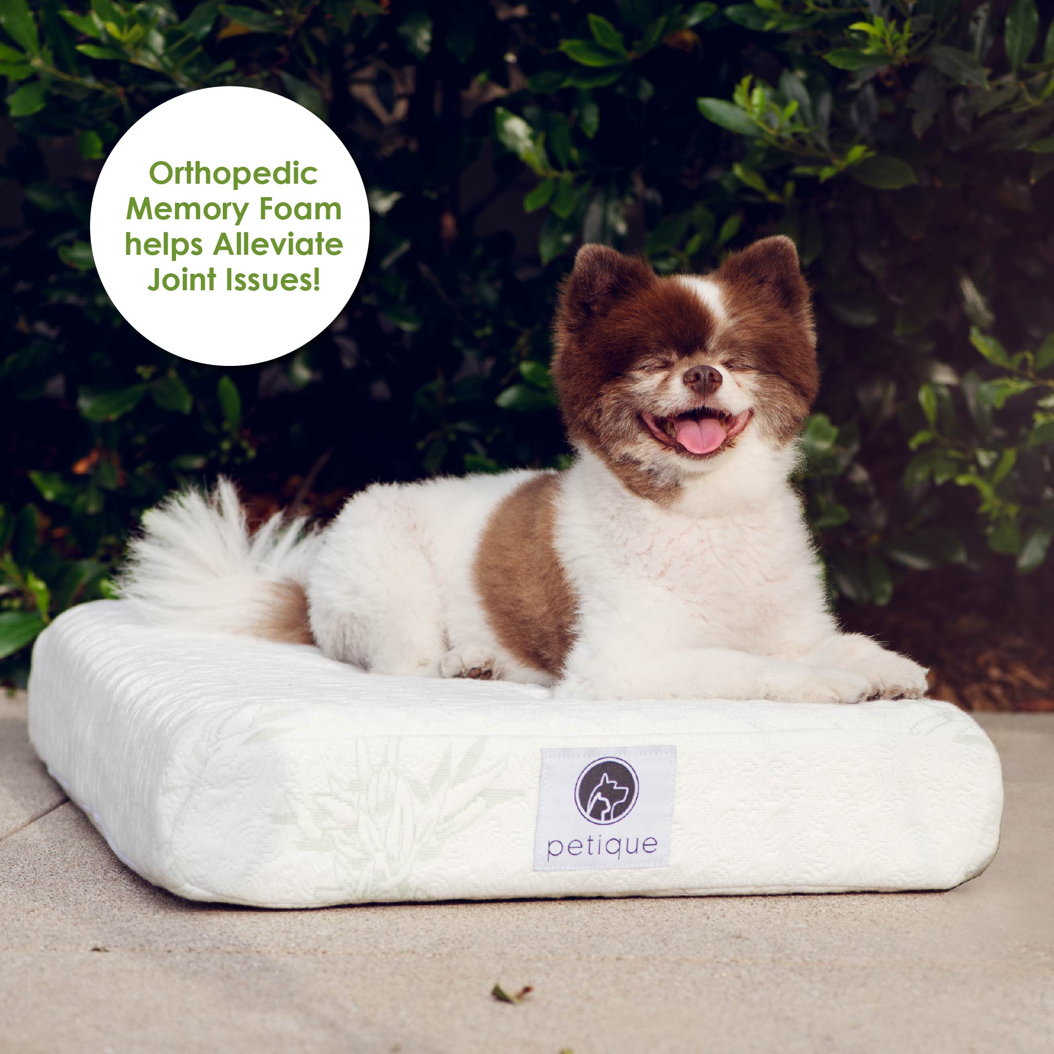 Non toxic Bamboo Memory Foam Orthopedic Pet Bed for Dog and Cat Petique Inc