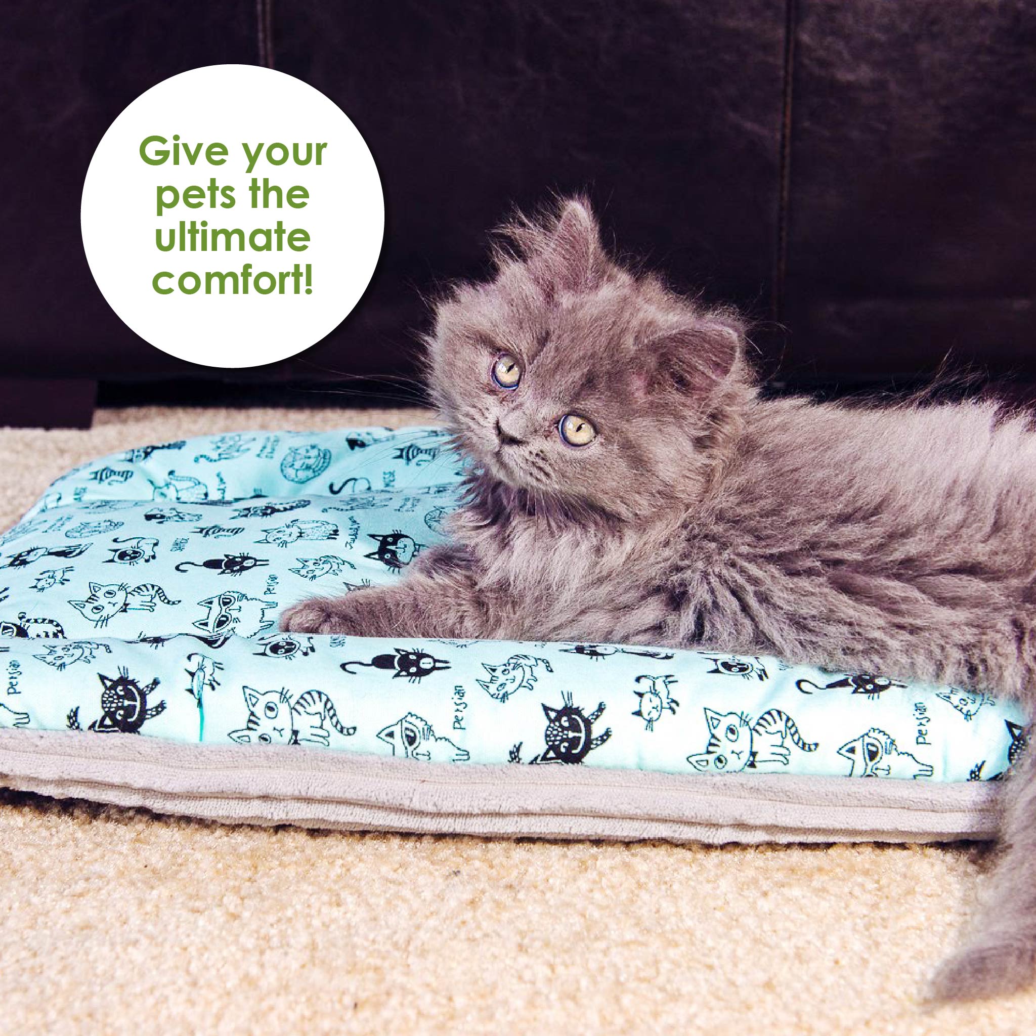 Persian cat bed best sale