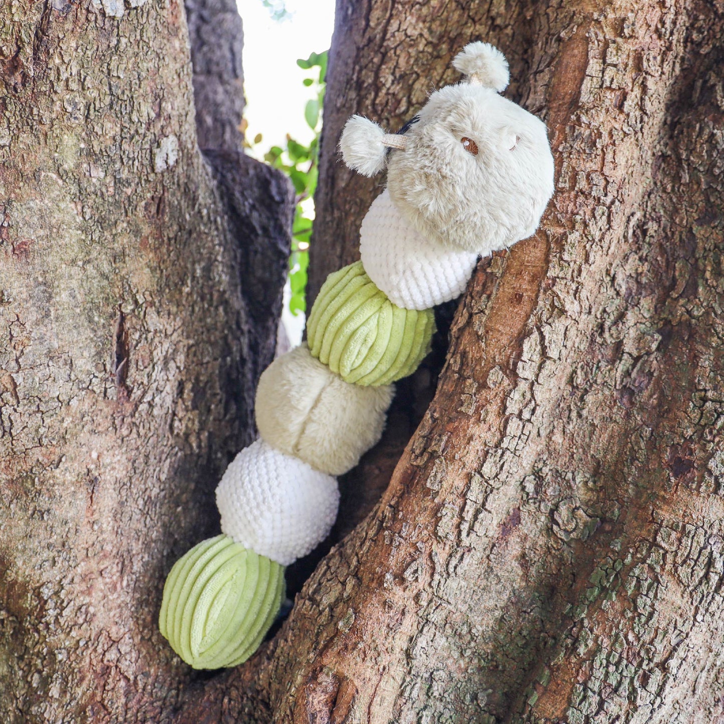 Craig the Tough Hemp Caterpillar Dog Toy: Durable Squeaky Balls, Crinkle Material for Interactive Play, Eco-Friendly Hemp Antennas, Reduces Boredom & Destructive Behavior