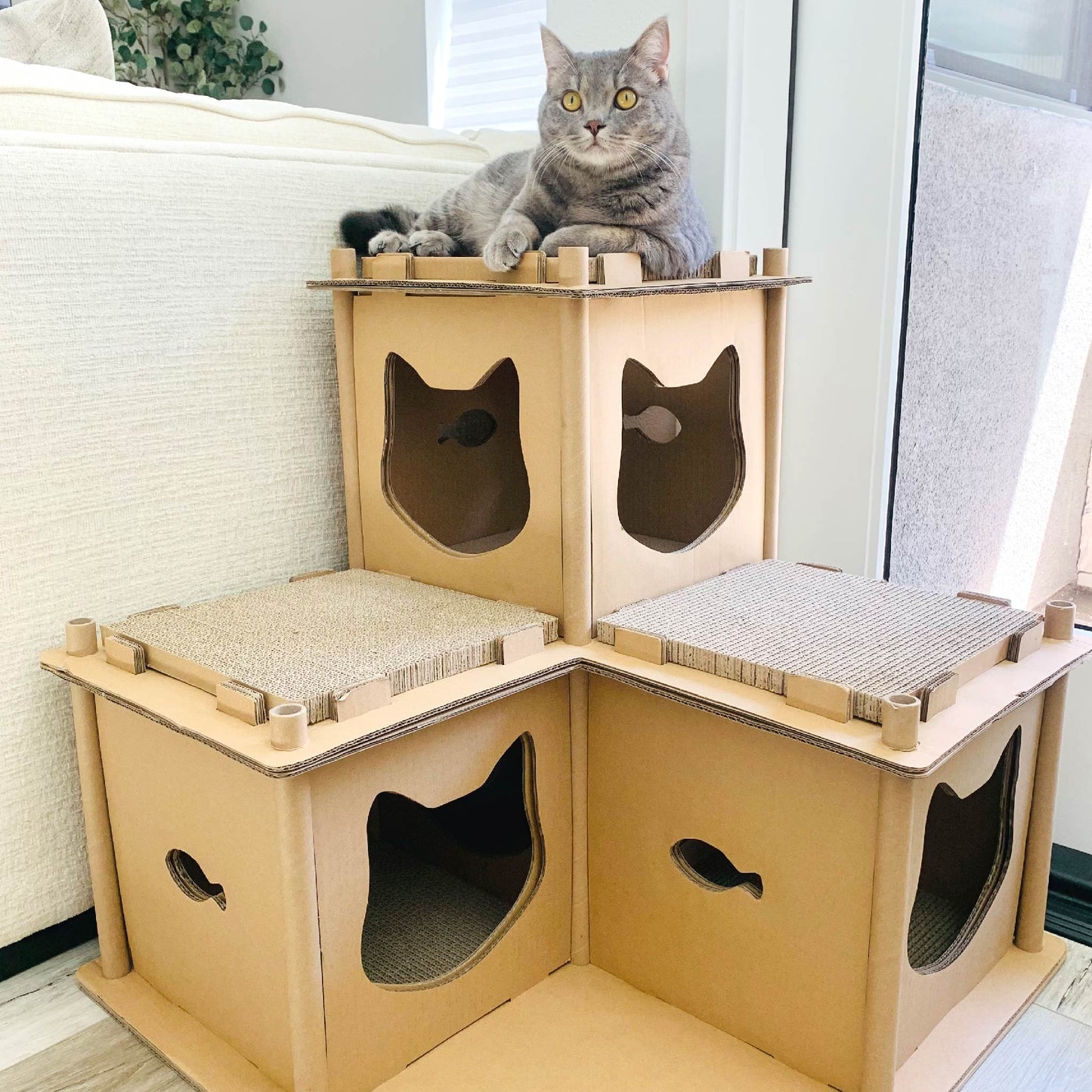 cat on top of feline fortress cat house