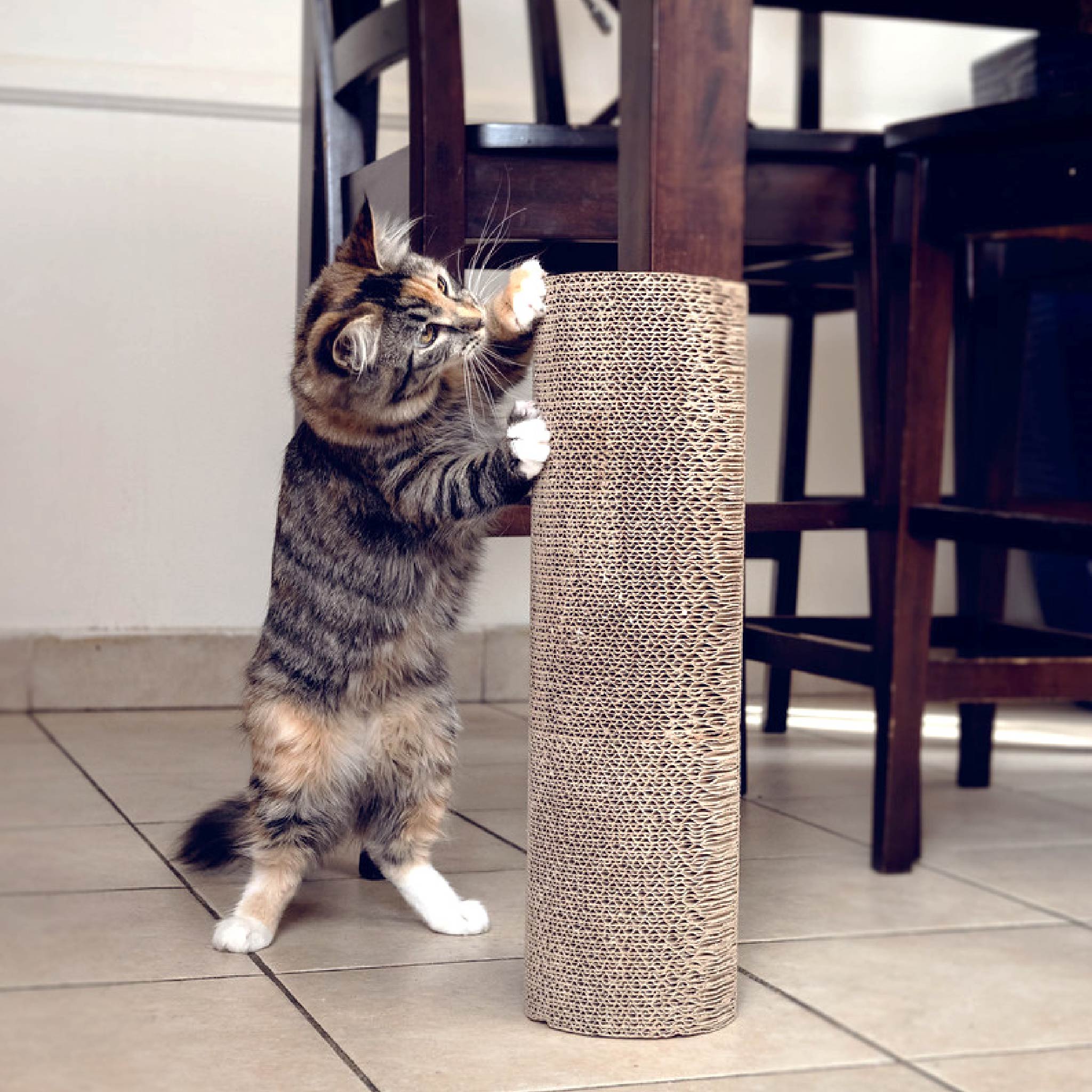 Kitty Corner Cat Scratching Post 2 Pieces Eco Friendly Sustainable Petique Inc