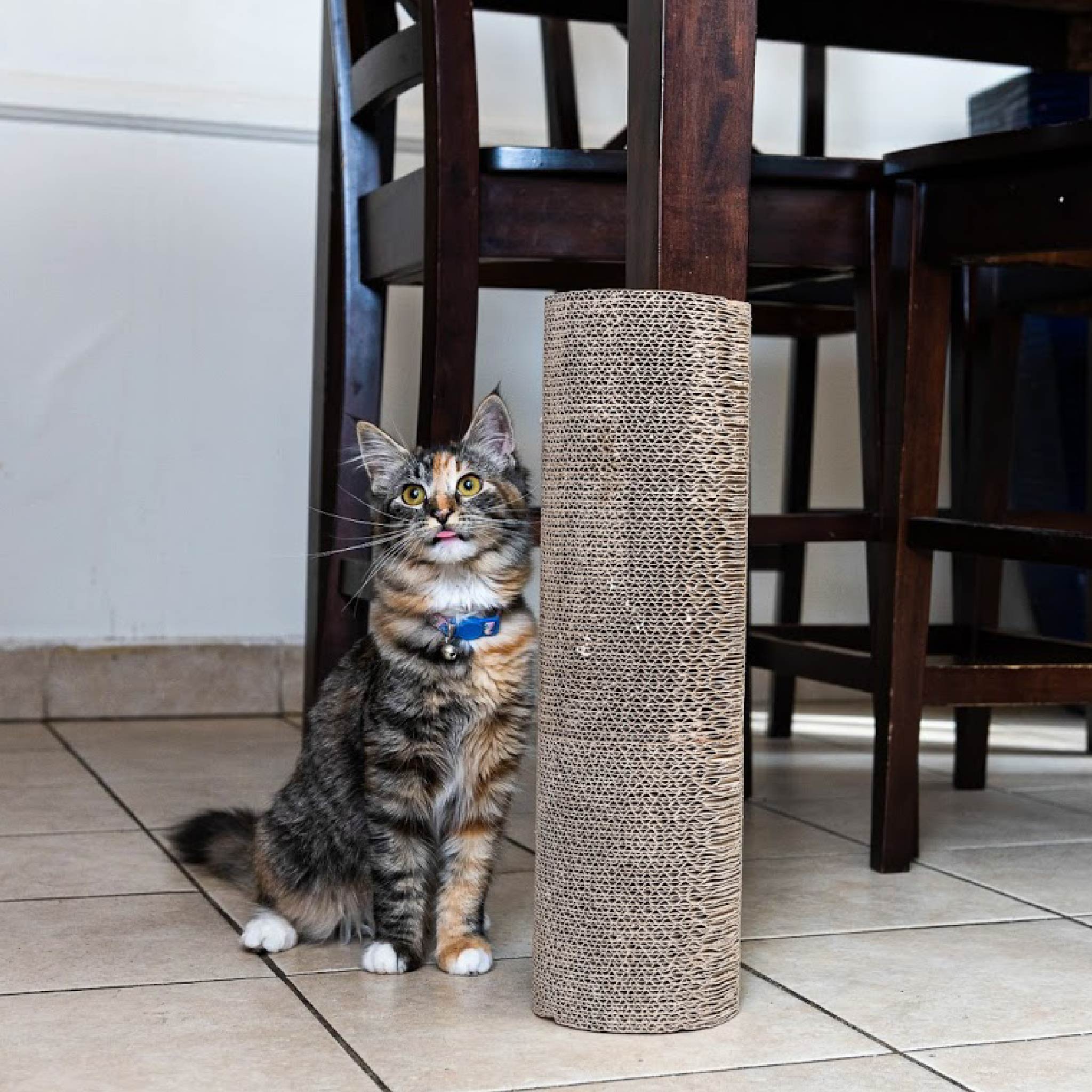 Kitty Corner Cat Scratching Post 2 Pieces Eco Friendly Sustainable Compostable Non Toxic Double Stick Foam Tape Included Durable Cardboard