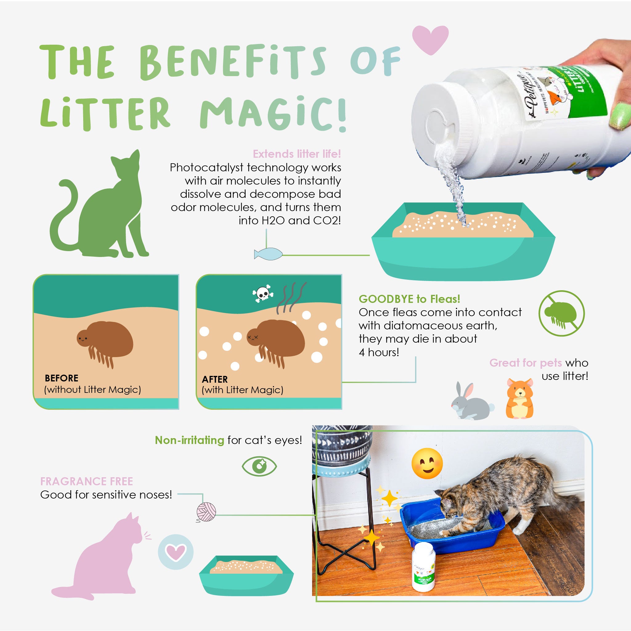 Diatomaceous cat litter best sale