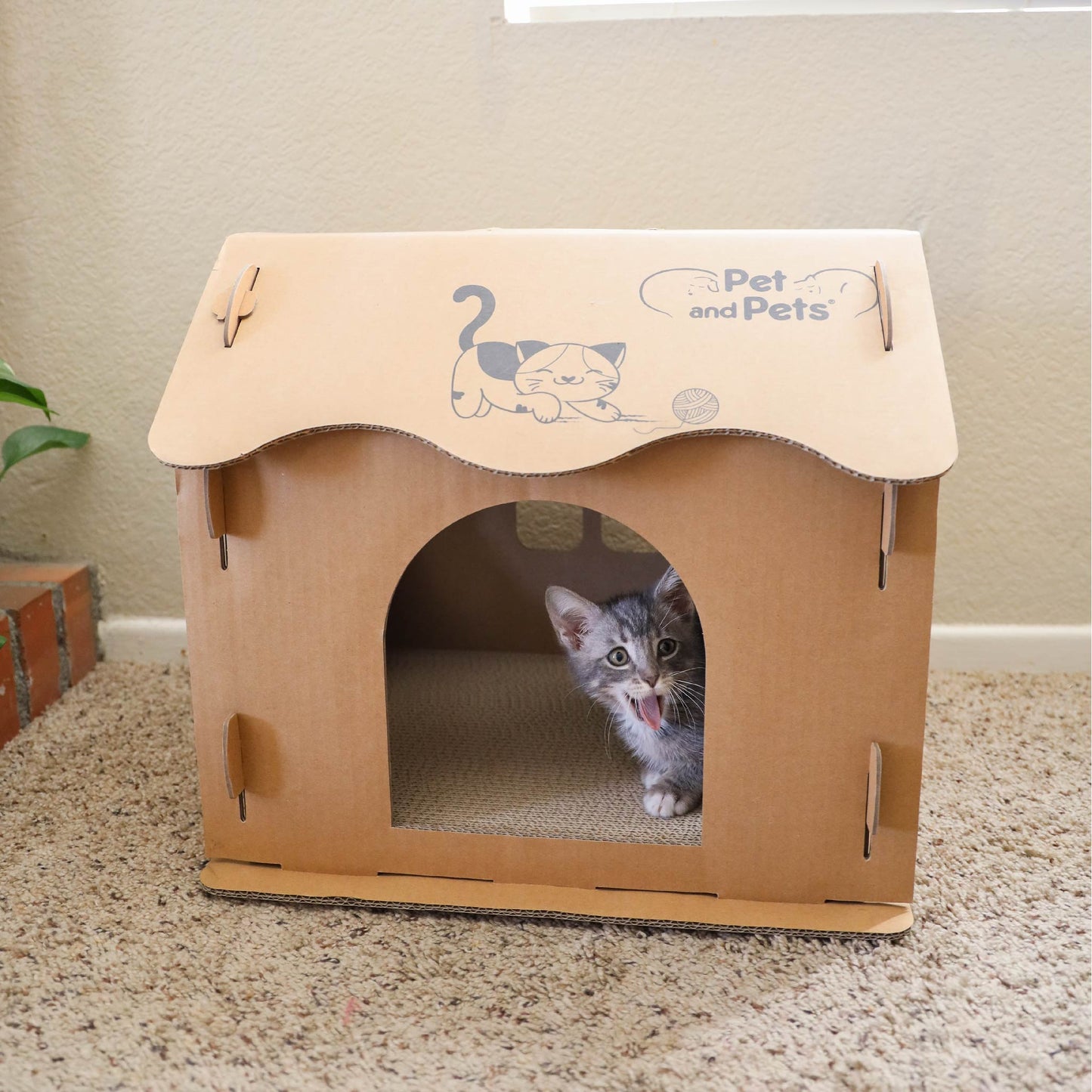 Scratch Pad Cat House: Large Double-Sided Scratch board, 100% Non-Toxic, Eco-Friendly, Sturdy, Easy to Build, Lightweight, Durable Cardboard, No Formaldehyde, Sustainable, Compostable, Recyclable, for Cats, Bunnies, Small Animals