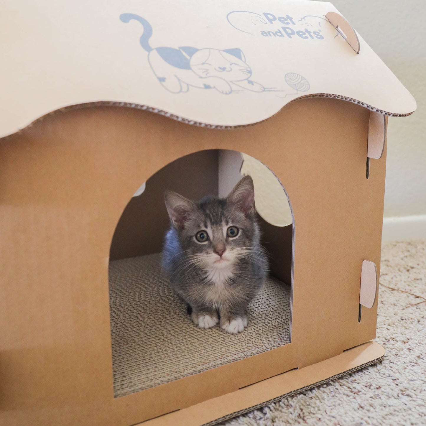 Scratch Pad Cat House: Large Double-Sided Scratch board, 100% Non-Toxic, Eco-Friendly, Sturdy, Easy to Build, Lightweight, Durable Cardboard, No Formaldehyde, Sustainable, Compostable, Recyclable, for Cats, Bunnies, Small Animals