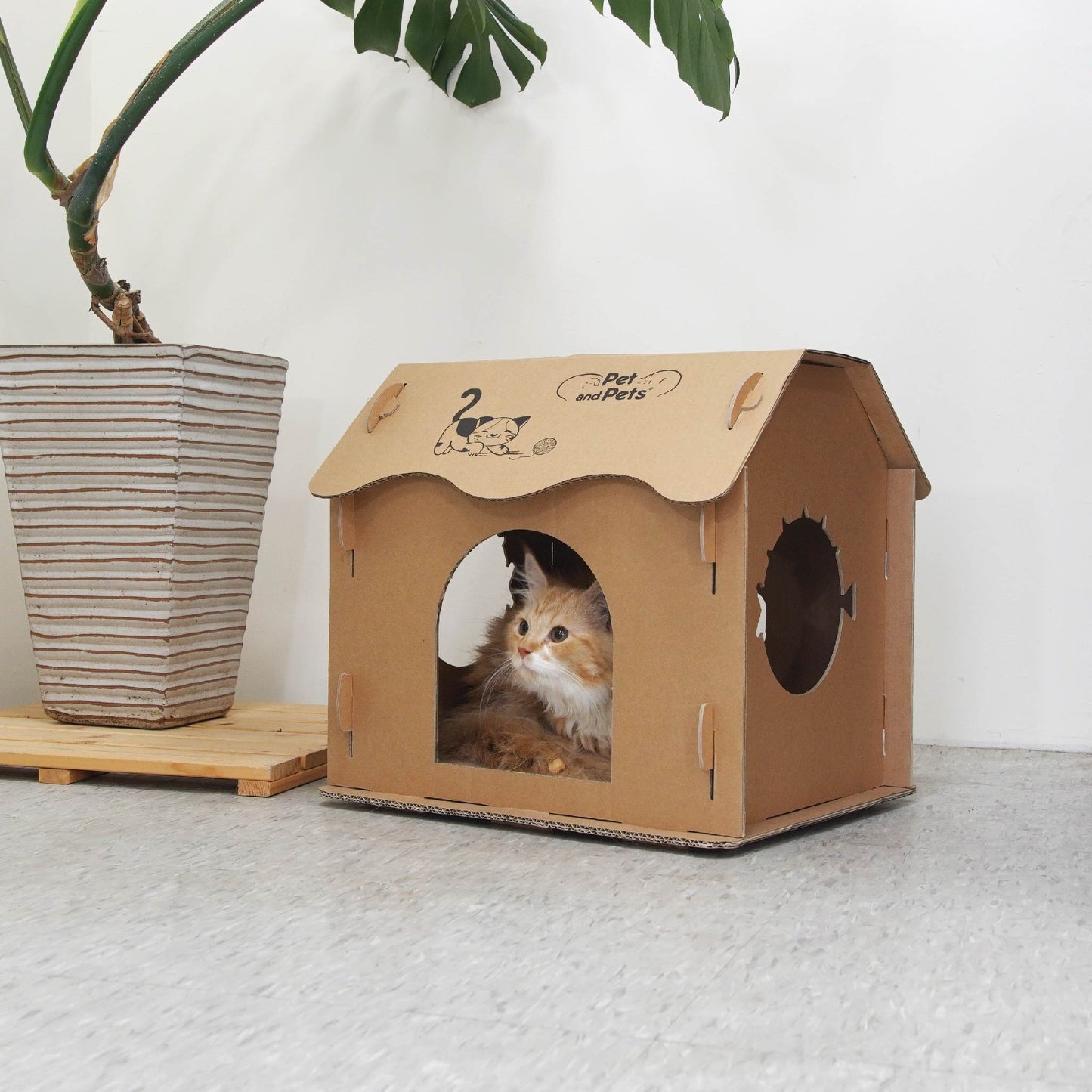 Scratch Pad Cat House: Large Double-Sided Scratch board, 100% Non-Toxic, Eco-Friendly, Sturdy, Easy to Build, Lightweight, Durable Cardboard, No Formaldehyde, Sustainable, Compostable, Recyclable, for Cats, Bunnies, Small Animals