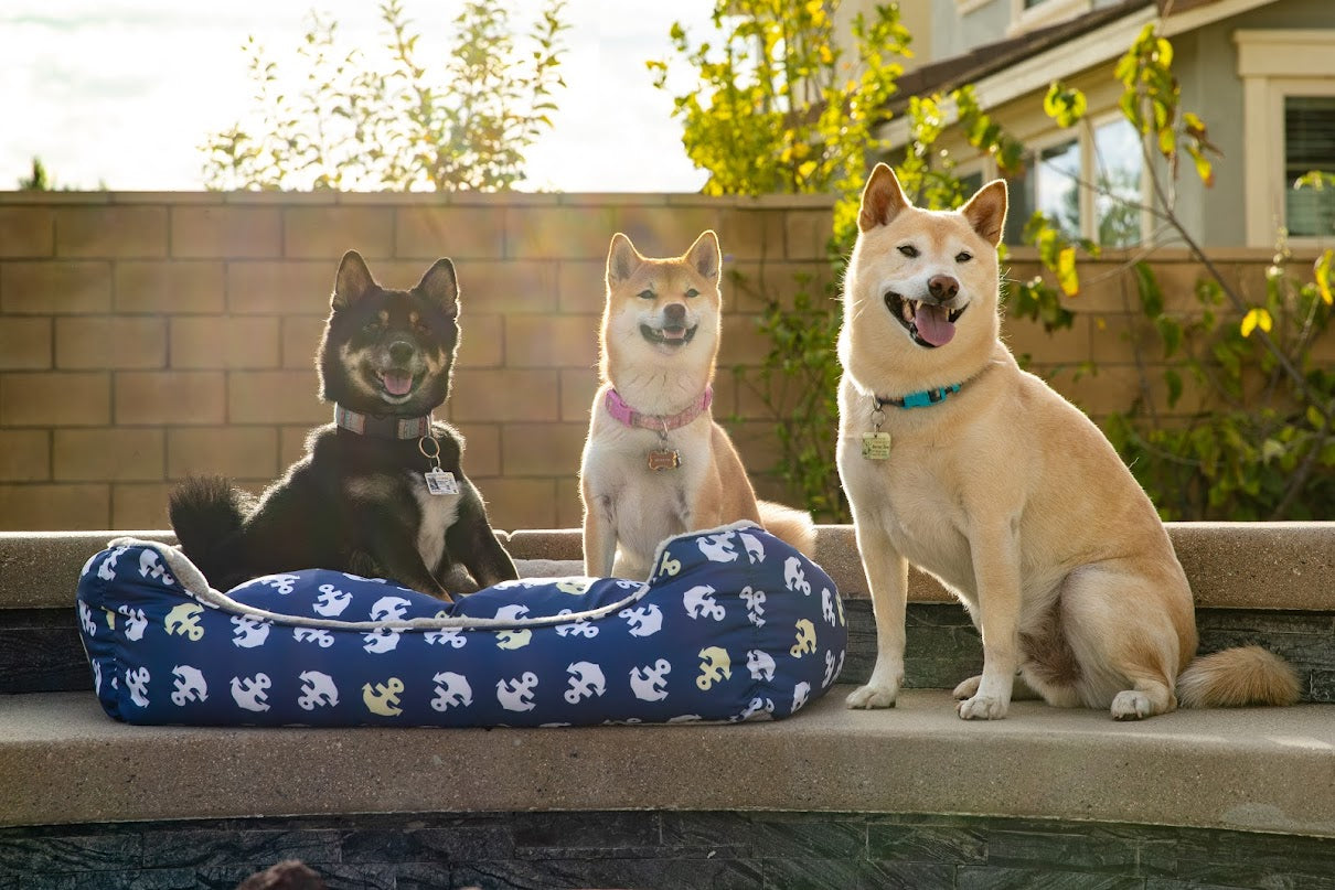 Anchor's Away Reversible Pet Bed Soft Calming Pet Bed, Anti-Anxiety, Nonskid Bottom, Premium Comfort Plus Pet Bed for Large/Medium/Small Dogs/Cats, SUPPORTS UP TO 90LBS (45"x30"x10")