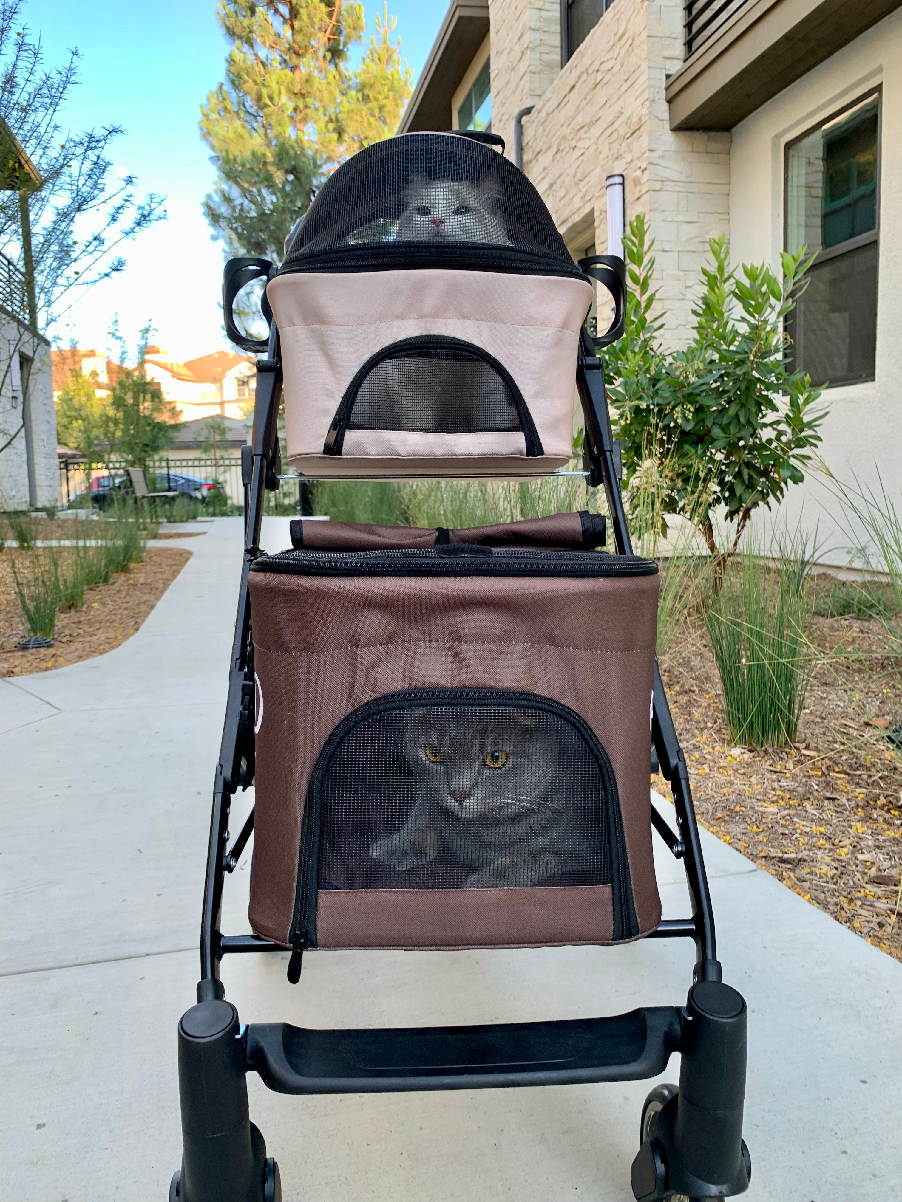 Dog stroller for 2024 two small dogs