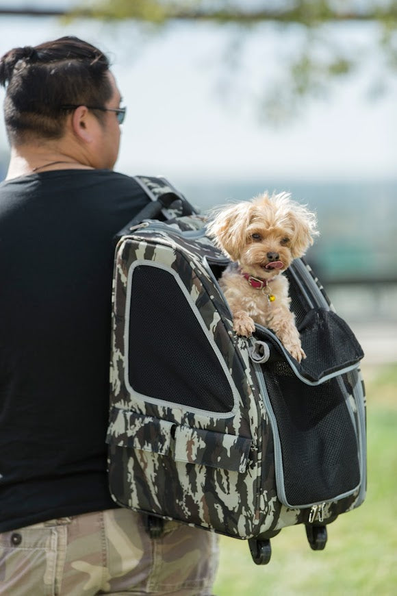 Fashion Dog Carrier For Small Dogs With Larg Pockets Holds Up To 10lbs