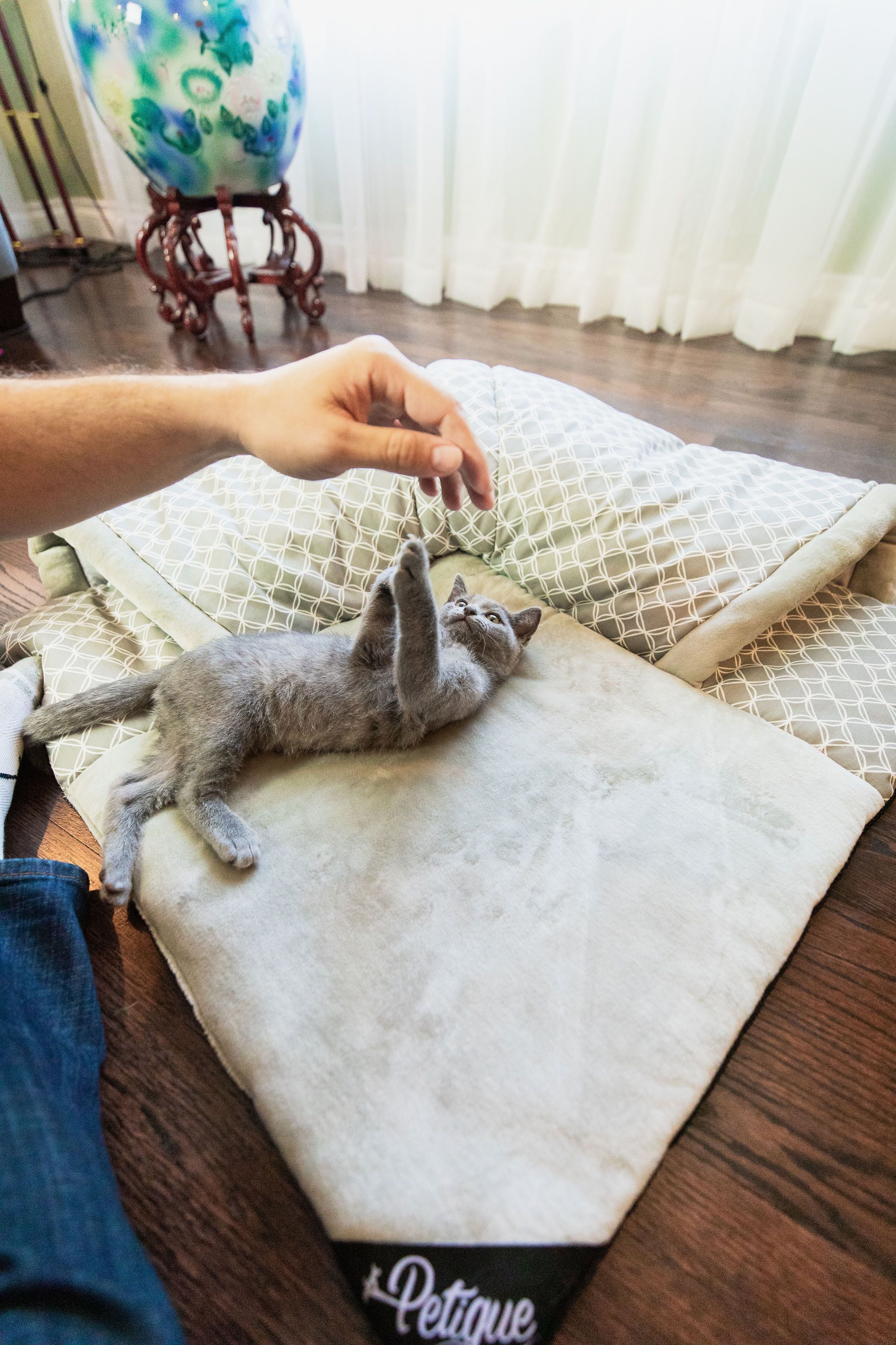 Cat play outlet blanket