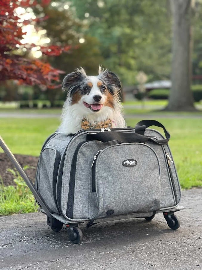 Fashion sherpa rolling pet carrier