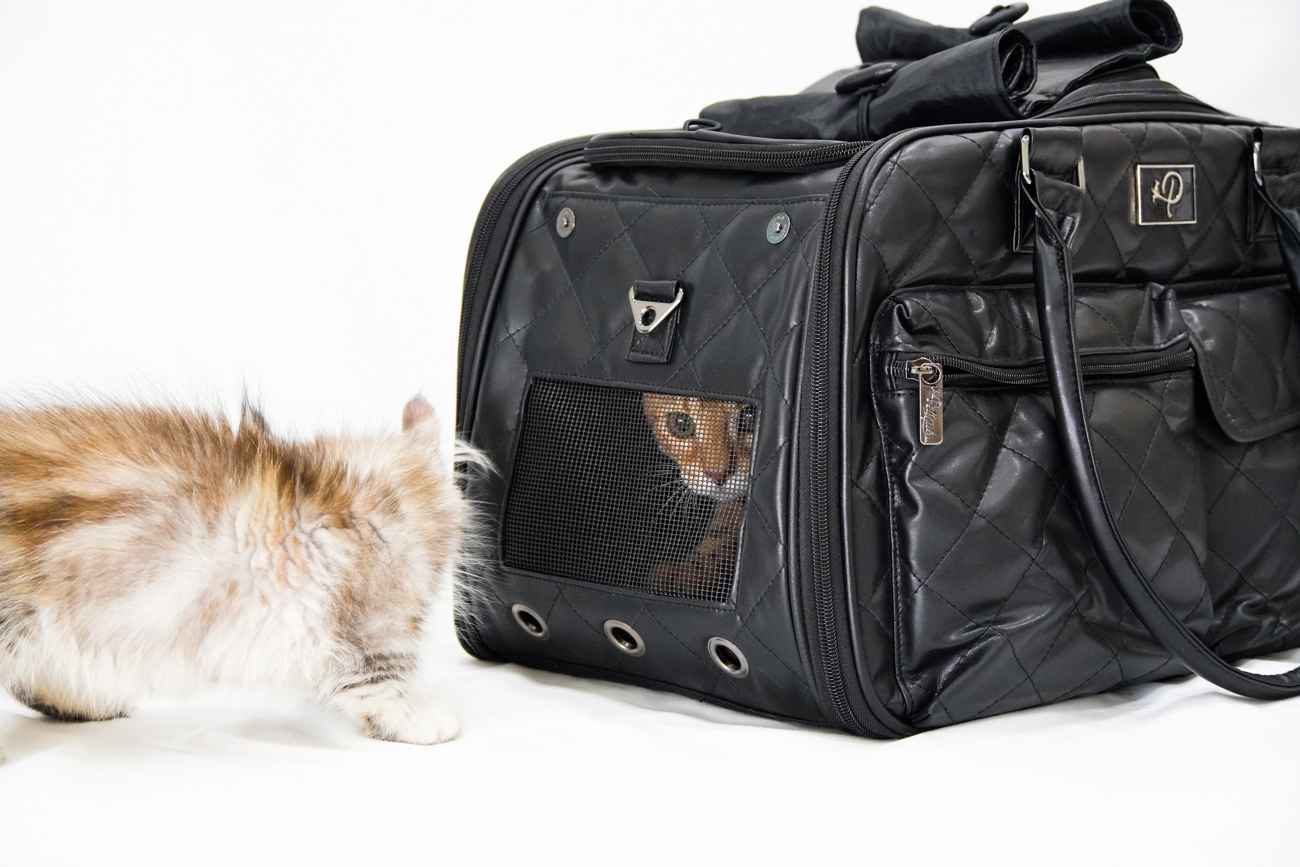 Deluxe pet outlet carrier