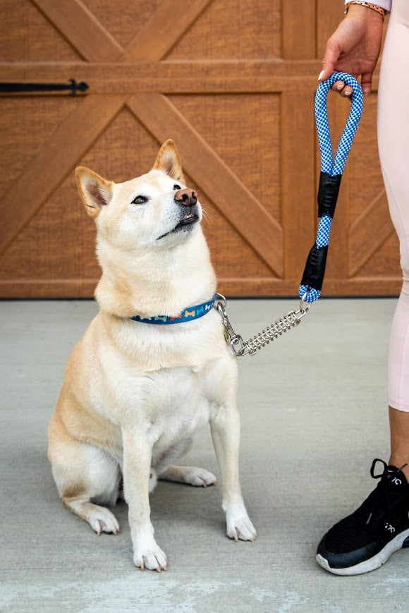 Best shock absorbing dog leash sale