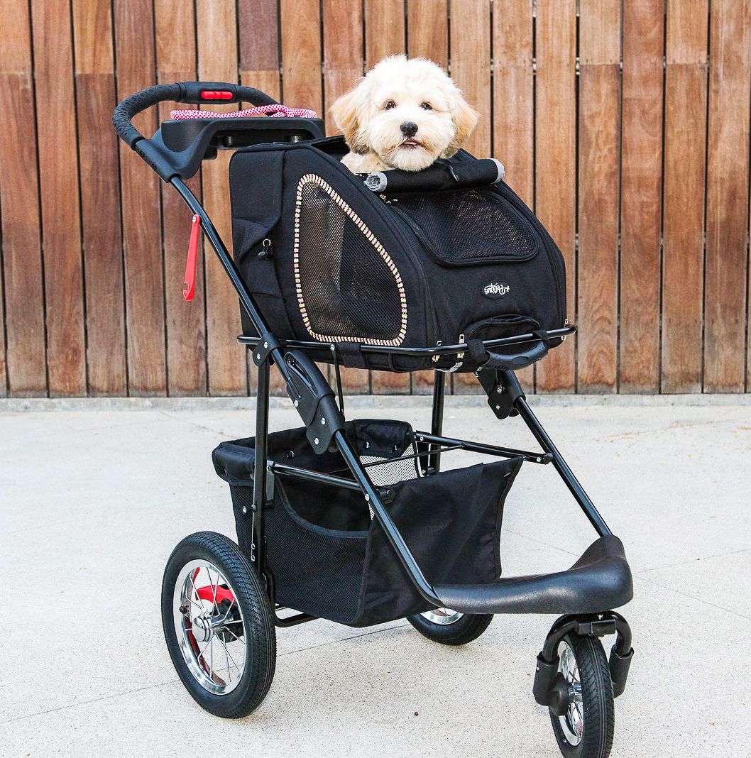 5 in 1 Pet Stroller Complete Set with Pet Carrier and Stroller Frame