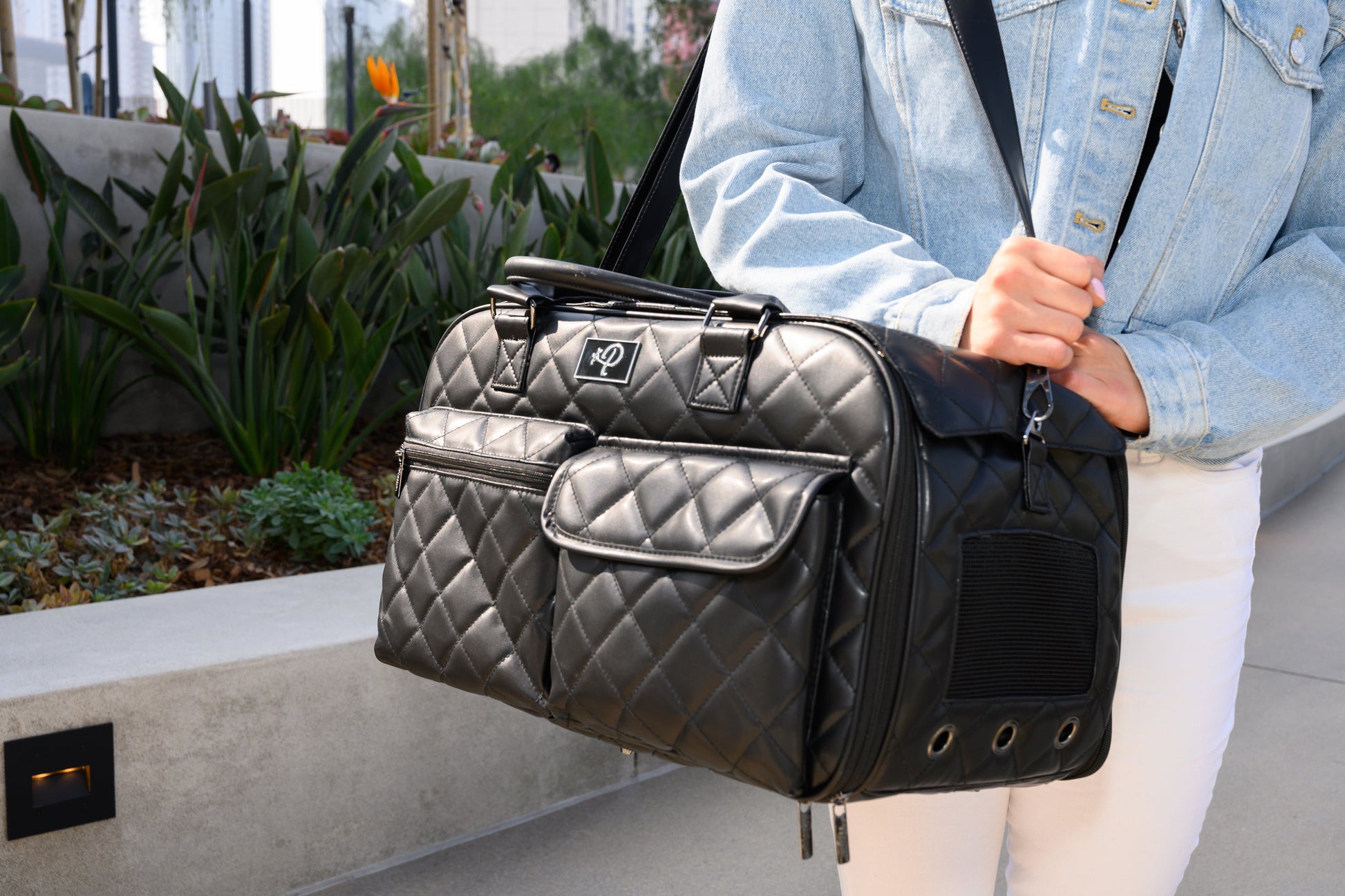 Louis Vuitton Big Leather Dog Carrier Bag